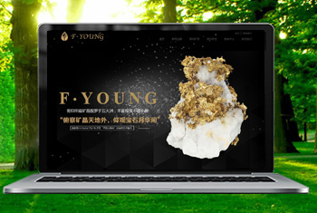 ͨ�ɸ������ﱦʯ